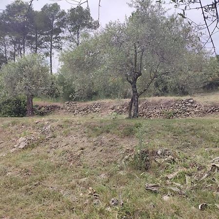 Auberge Des Esperels Rez De Maison Avec Jardin Figanières Exteriör bild